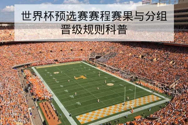 英超赛前首发名单与关键伤停查询