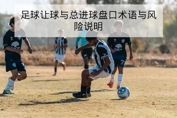 网球大满贯球员身体状态与退赛风险前瞻