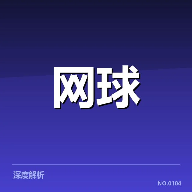 郑钦文参与赛事和数据表现